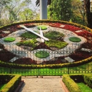 discover-1135-1-parque-hundido