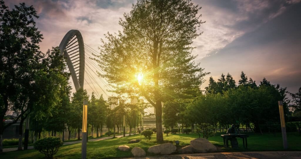 parque-bicentenario-cdmx-como-llegar-1024x683