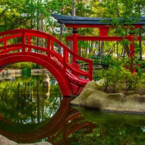 parque-masayoshi-ohira-shutterstock-3