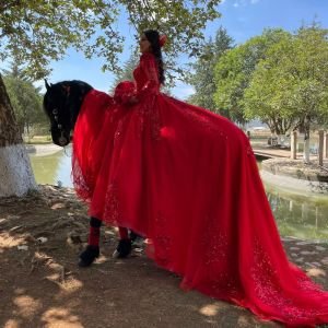 430829364_375418085310320_8608974019634925761_n