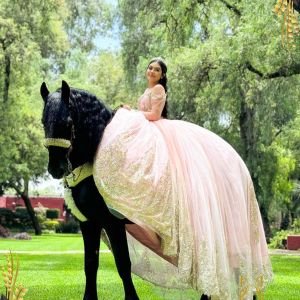 452050383_453489674169827_5558553761172604633_n